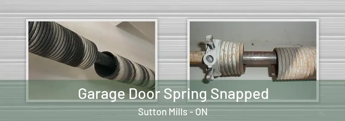 Garage Door Spring Snapped Sutton Mills - ON
