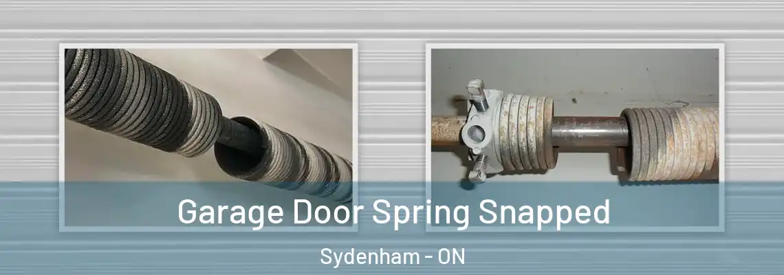 Garage Door Spring Snapped Sydenham - ON
