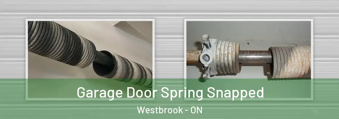  Garage Door Spring Snapped Westbrook - ON