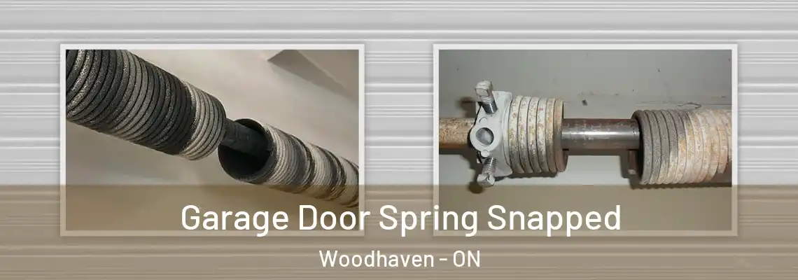Garage Door Spring Snapped Woodhaven - ON