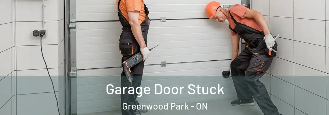 Garage Door Stuck Greenwood Park - ON