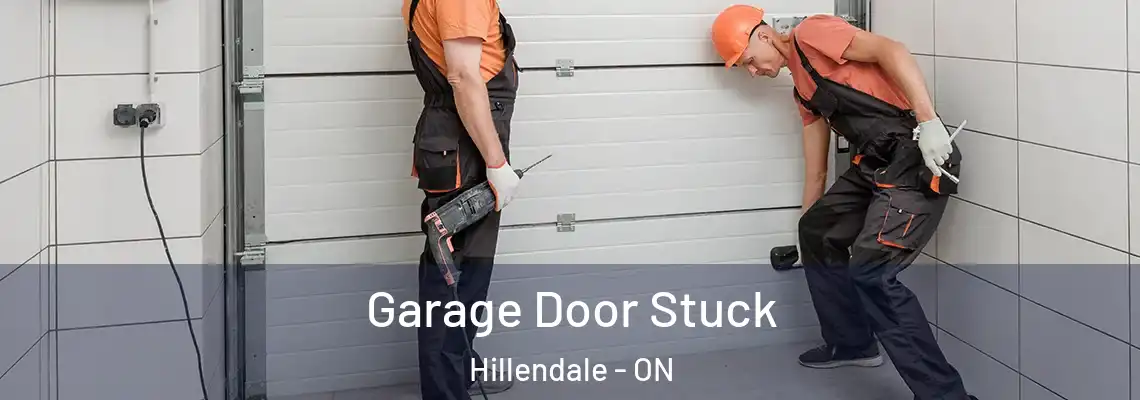 Garage Door Stuck Hillendale - ON