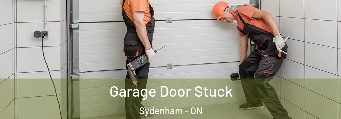 Garage Door Stuck Sydenham - ON