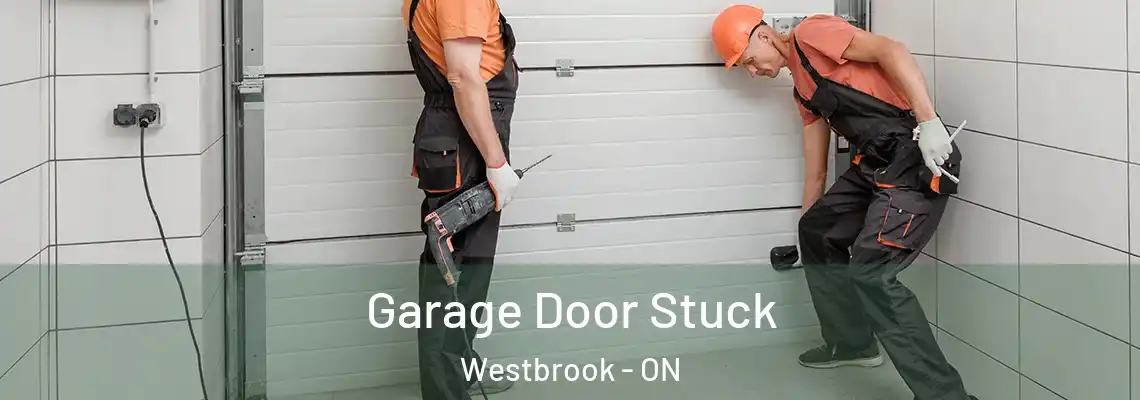  Garage Door Stuck Westbrook - ON