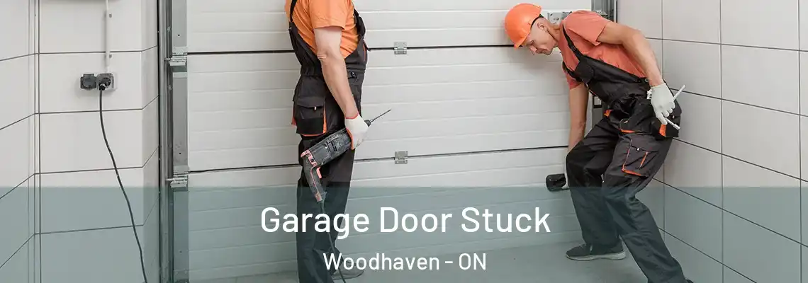  Garage Door Stuck Woodhaven - ON