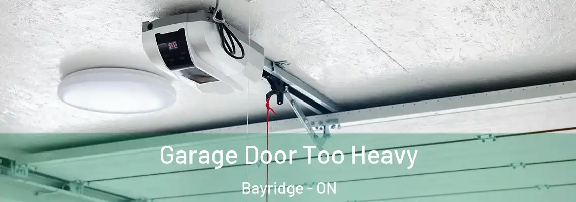 Garage Door Too Heavy Bayridge - ON