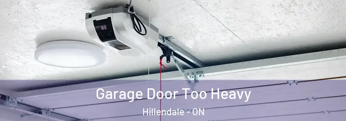  Garage Door Too Heavy Hillendale - ON