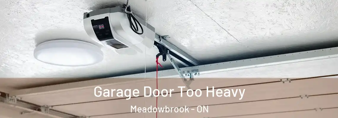 Garage Door Too Heavy Meadowbrook - ON