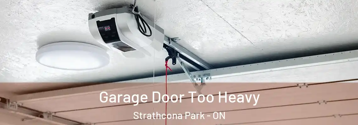  Garage Door Too Heavy Strathcona Park - ON
