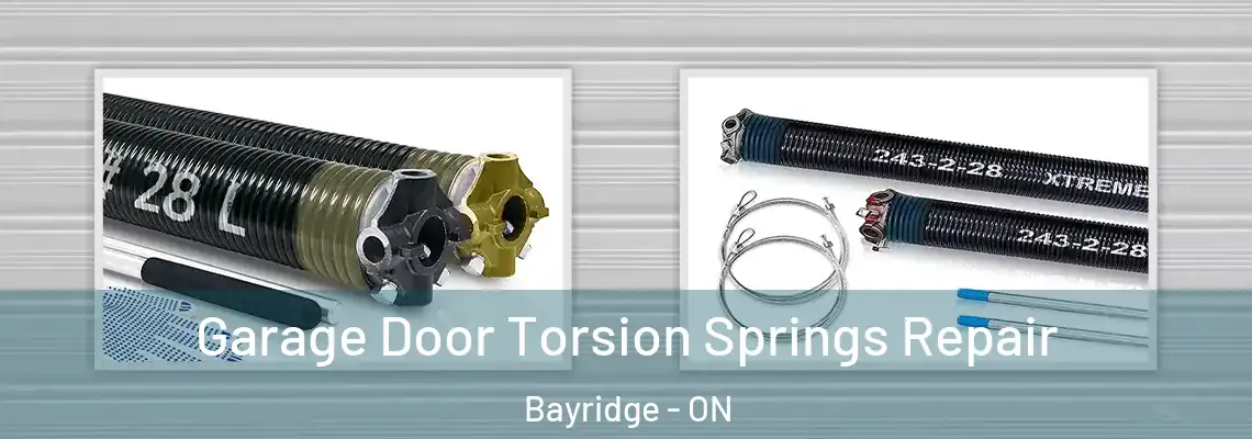  Garage Door Torsion Springs Repair Bayridge - ON