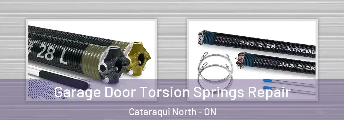  Garage Door Torsion Springs Repair Cataraqui North - ON