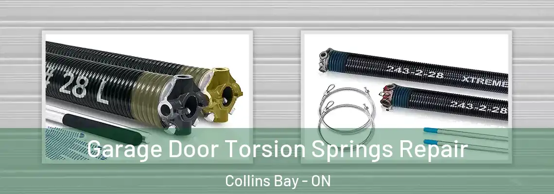  Garage Door Torsion Springs Repair Collins Bay - ON