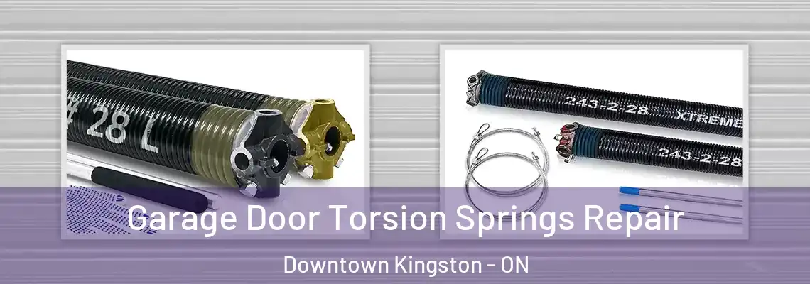  Garage Door Torsion Springs Repair Downtown Kingston - ON