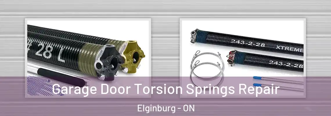 Garage Door Torsion Springs Repair Elginburg - ON