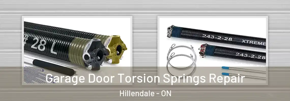  Garage Door Torsion Springs Repair Hillendale - ON
