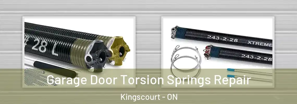Garage Door Torsion Springs Repair Kingscourt - ON