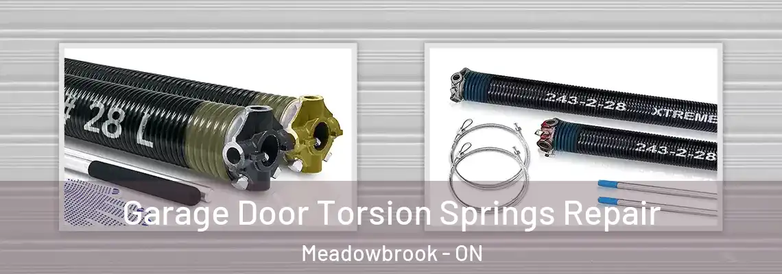 Garage Door Torsion Springs Repair Meadowbrook - ON