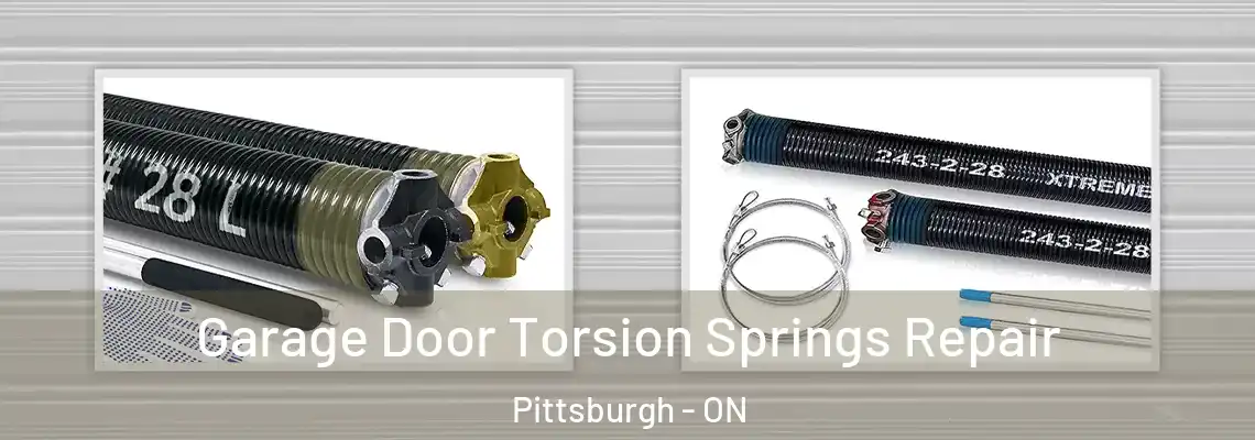  Garage Door Torsion Springs Repair Pittsburgh - ON