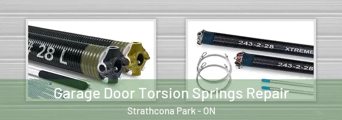 Garage Door Torsion Springs Repair Strathcona Park - ON