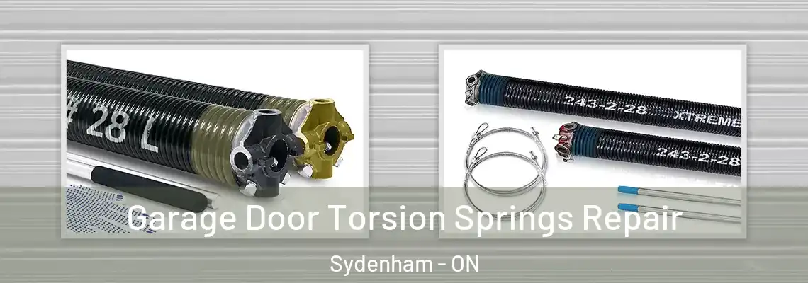 Garage Door Torsion Springs Repair Sydenham - ON