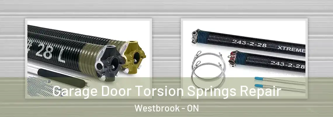 Garage Door Torsion Springs Repair Westbrook - ON