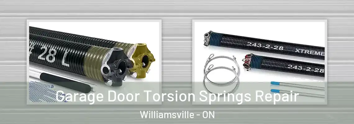  Garage Door Torsion Springs Repair Williamsville - ON