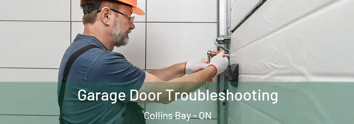  Garage Door Troubleshooting Collins Bay - ON