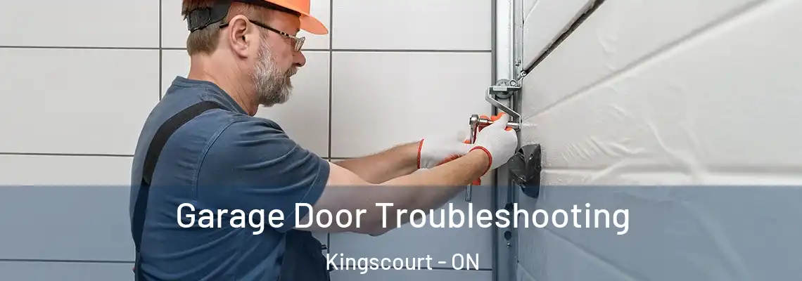  Garage Door Troubleshooting Kingscourt - ON