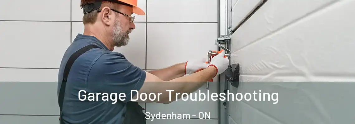 Garage Door Troubleshooting Sydenham - ON
