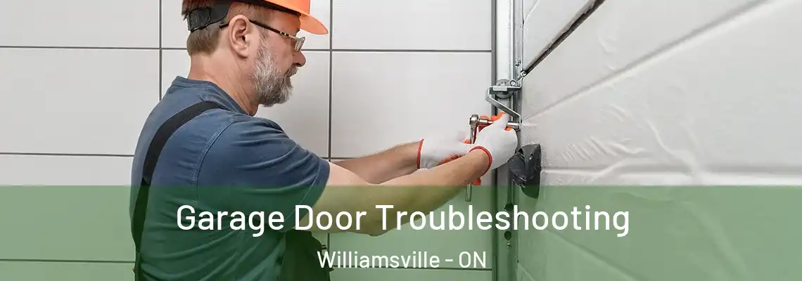Garage Door Troubleshooting Williamsville - ON