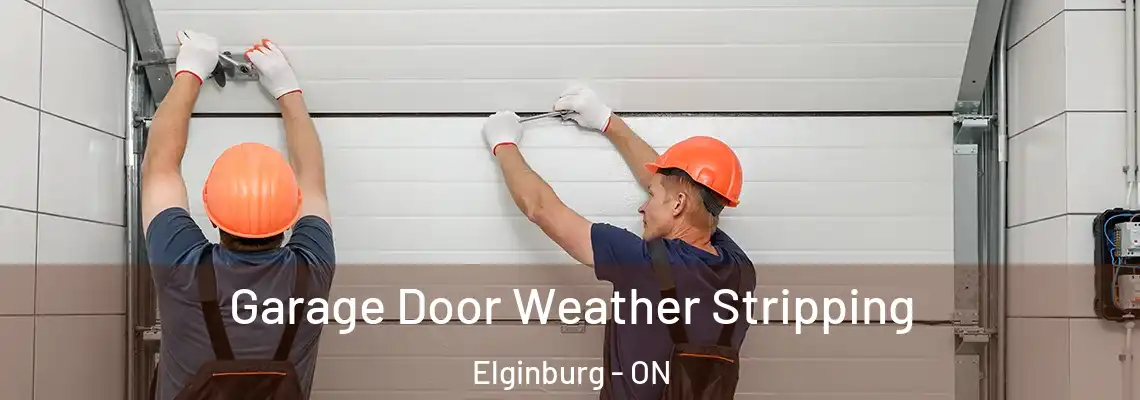  Garage Door Weather Stripping Elginburg - ON