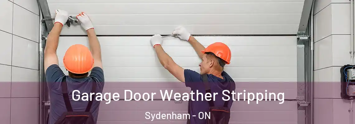 Garage Door Weather Stripping Sydenham - ON