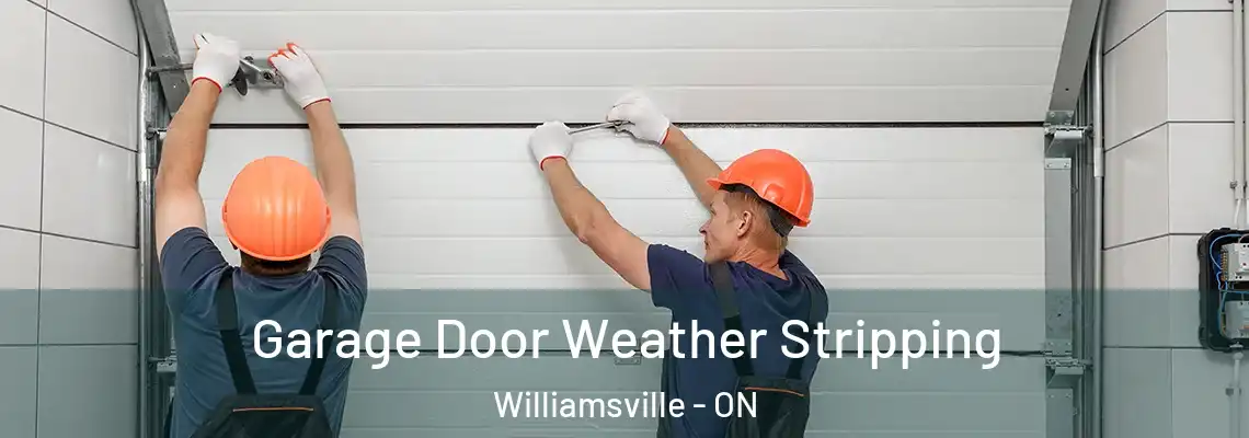 Garage Door Weather Stripping Williamsville - ON