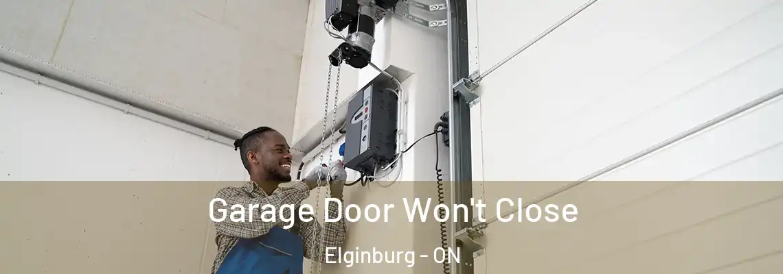  Garage Door Won't Close Elginburg - ON