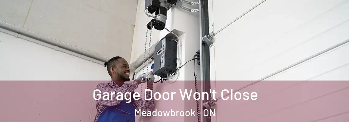 Garage Door Won't Close Meadowbrook - ON