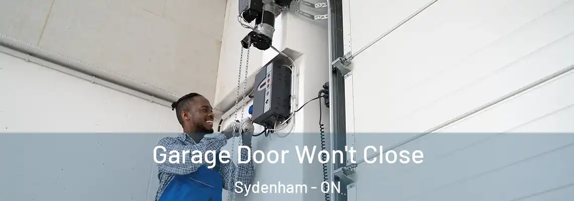 Garage Door Won't Close Sydenham - ON