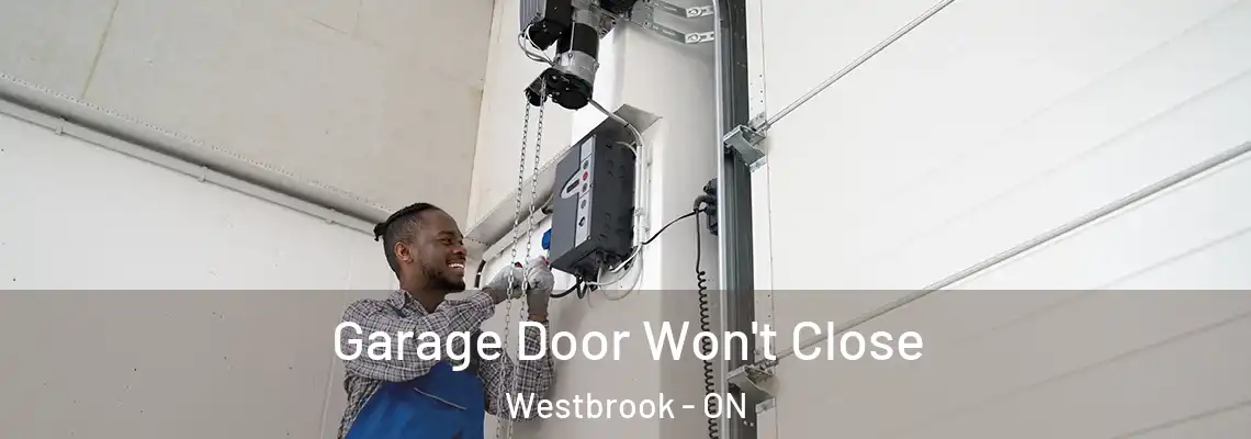  Garage Door Won't Close Westbrook - ON