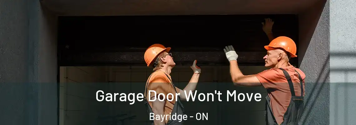  Garage Door Won't Move Bayridge - ON