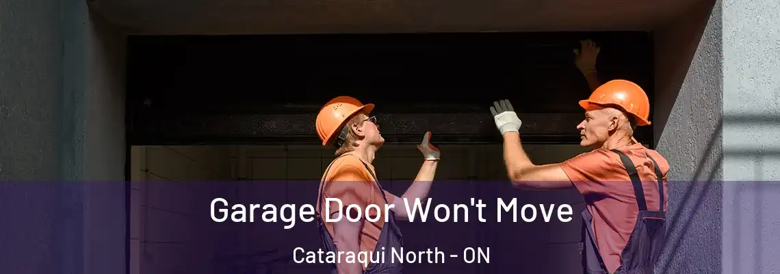  Garage Door Won't Move Cataraqui North - ON
