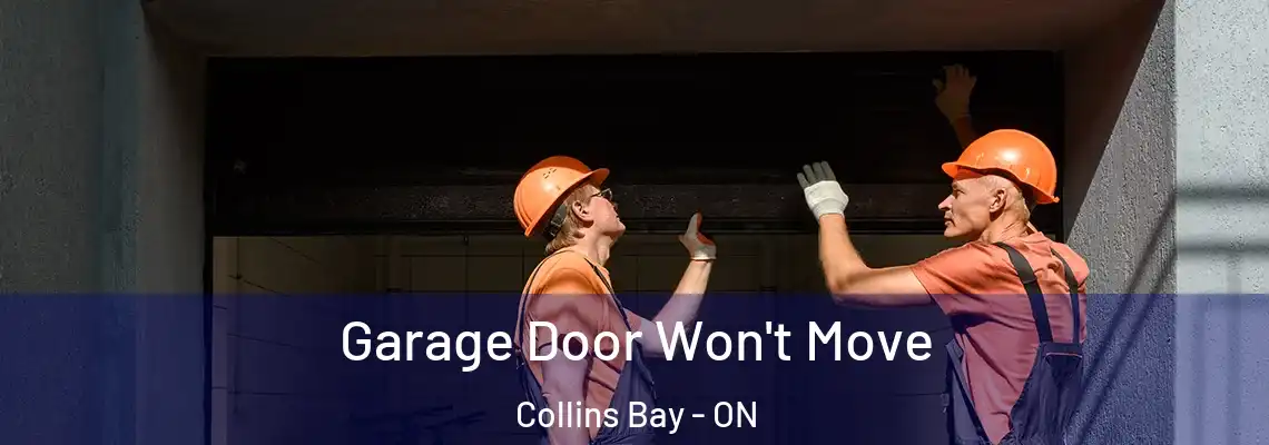  Garage Door Won't Move Collins Bay - ON