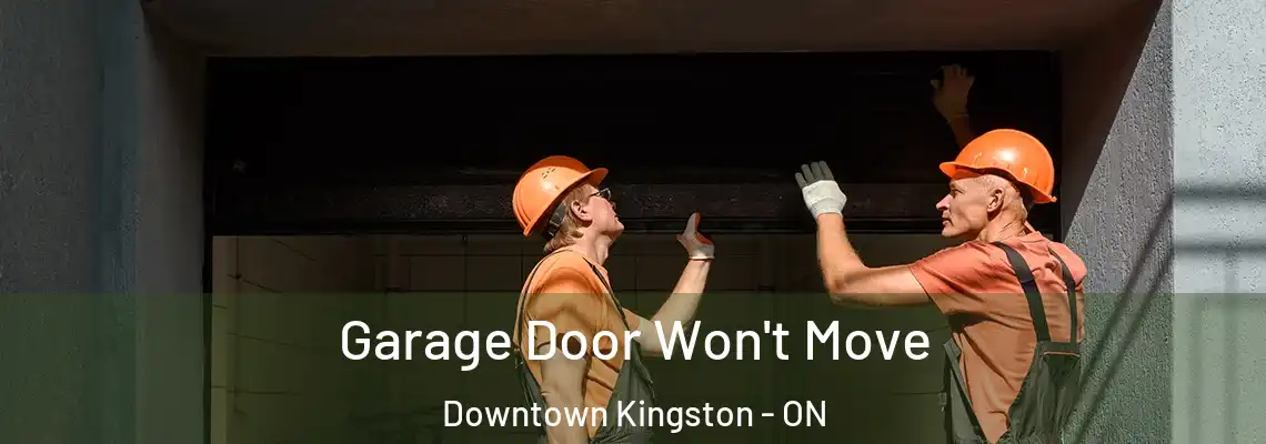  Garage Door Won't Move Downtown Kingston - ON