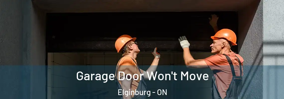 Garage Door Won't Move Elginburg - ON