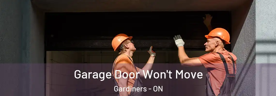 Garage Door Won't Move Gardiners - ON