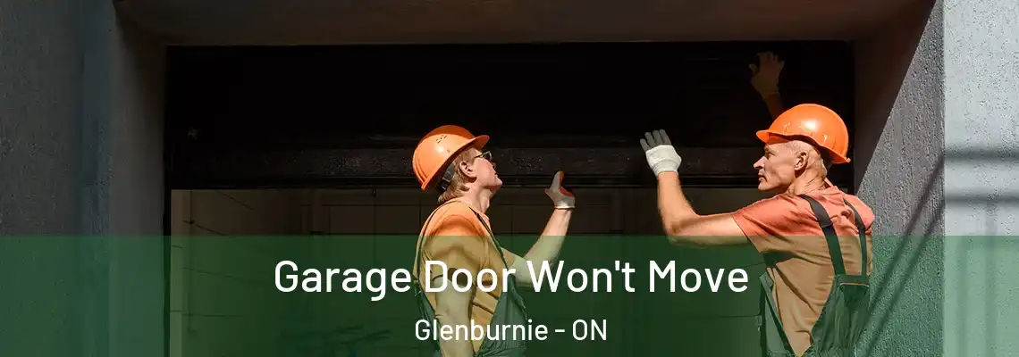Garage Door Won't Move Glenburnie - ON