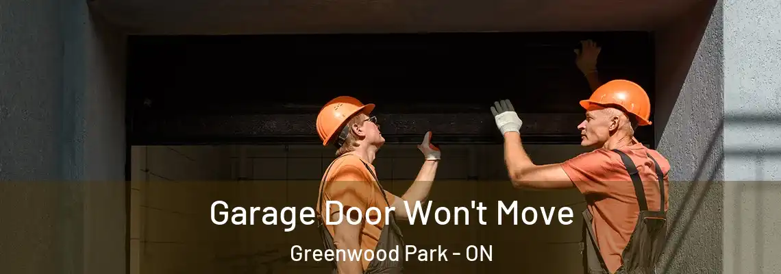 Garage Door Won't Move Greenwood Park - ON