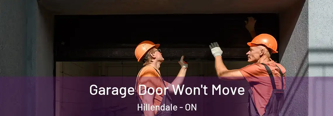 Garage Door Won't Move Hillendale - ON