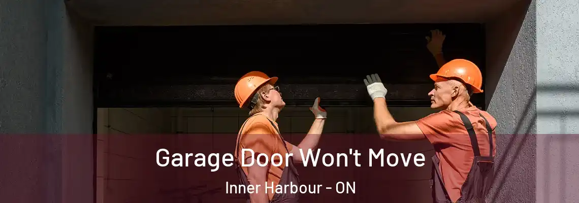 Garage Door Won't Move Inner Harbour - ON