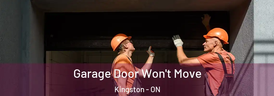  Garage Door Won't Move Kingston - ON