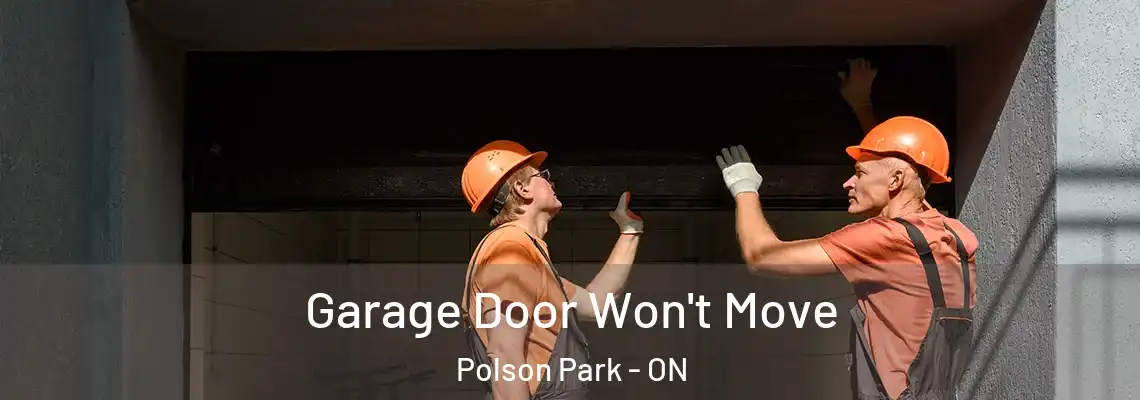  Garage Door Won't Move Polson Park - ON