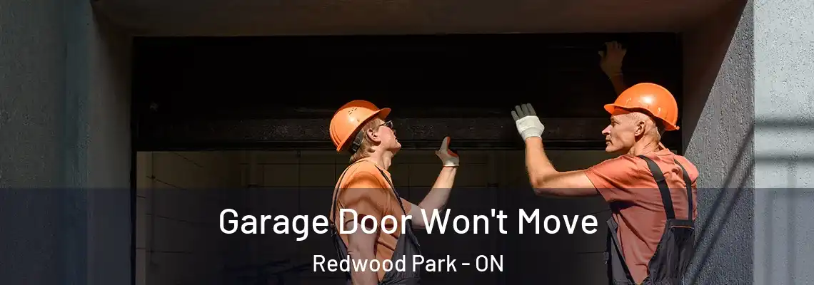  Garage Door Won't Move Redwood Park - ON